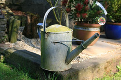 watering can